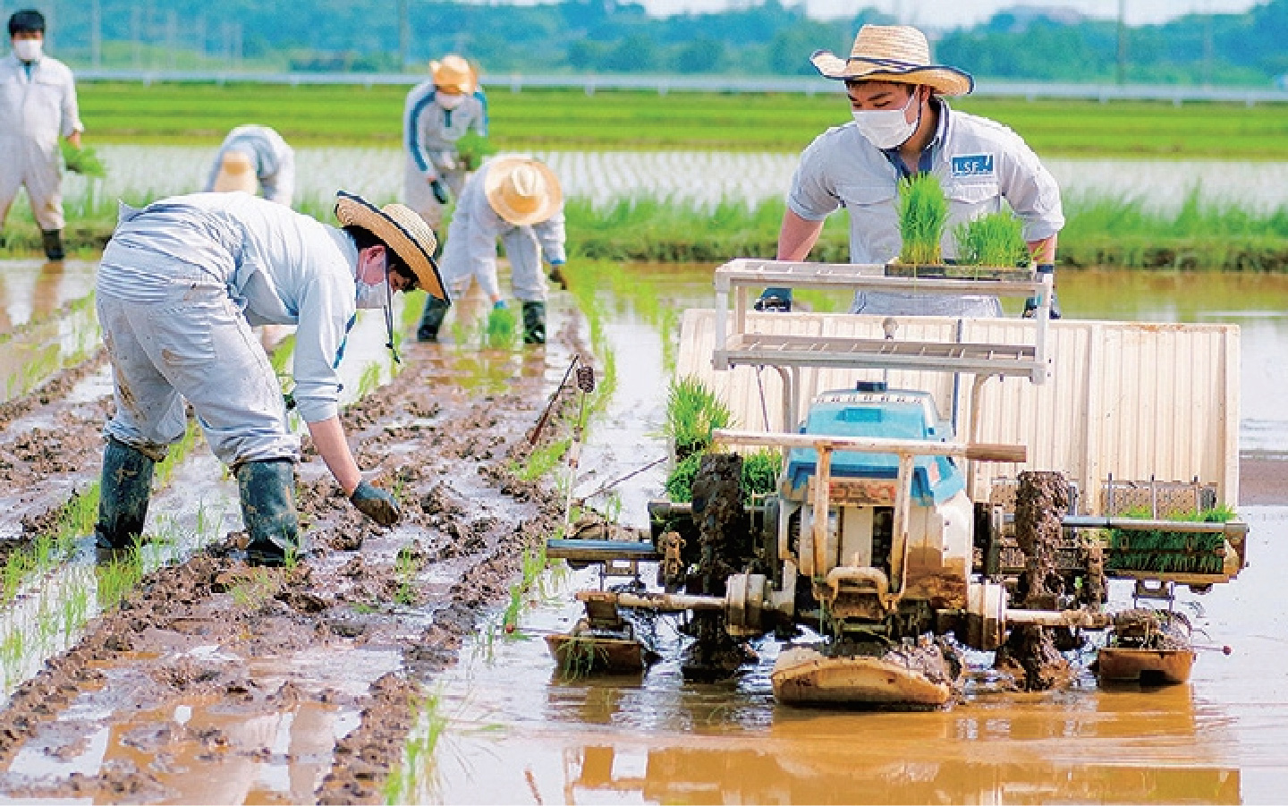 写真：農業研修の様子